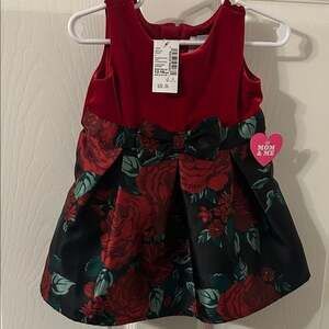 The Children's Place Red and Green Floral Dress
